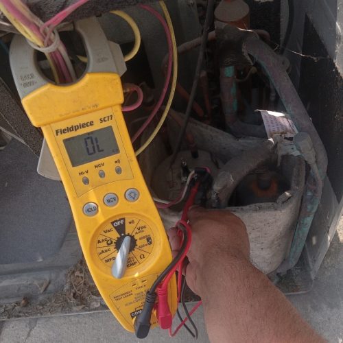 Resized_Resized_20230511_150631